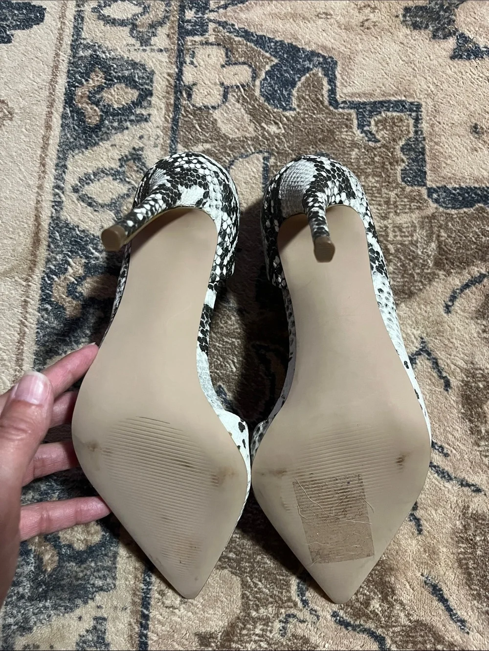 Aqua Black & White Snake-Print Pointed Toe Heels